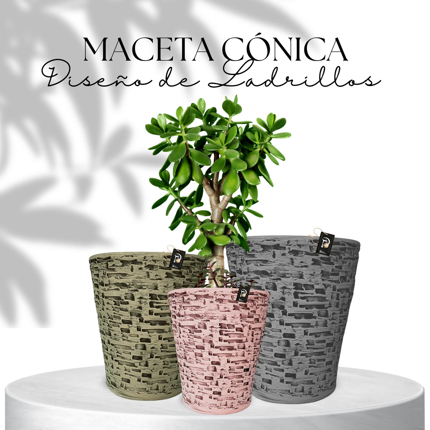 MACETA CÓNICA